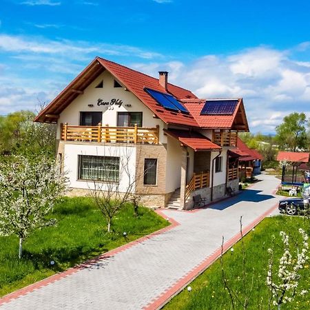 Casa Nely Hotel Sighetu Marmatiei Luaran gambar