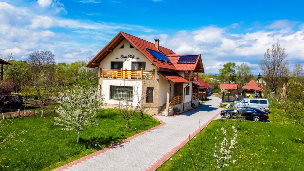 Casa Nely Hotel Sighetu Marmatiei Luaran gambar