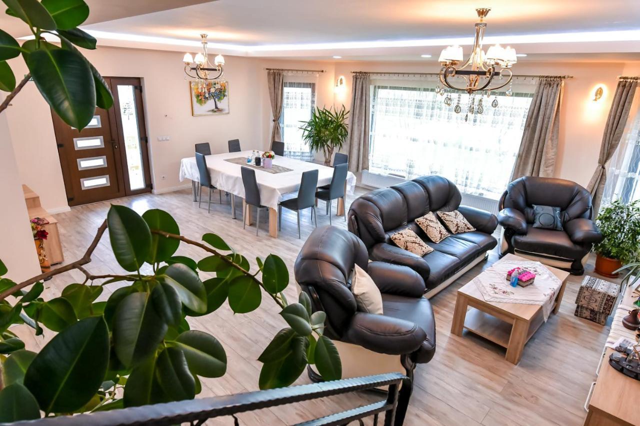 Casa Nely Hotel Sighetu Marmatiei Luaran gambar
